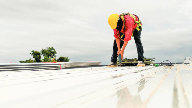 Roof Insulation Installation in Wolfe City, TX